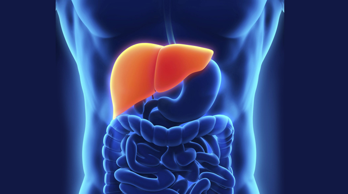 fatty liver