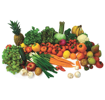 food frequency
